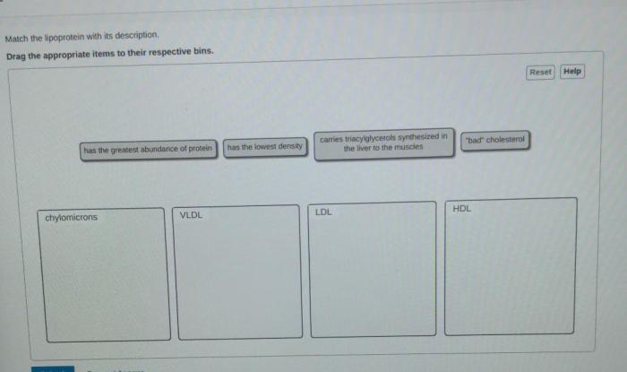 Match the lipoprotein with its description