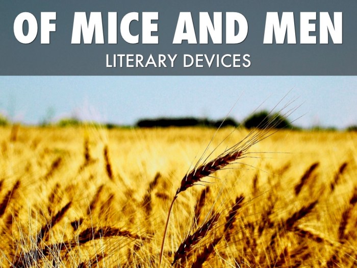 Of mice and men literary devices