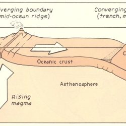 Label the diagram of a convergent-margin orogen.