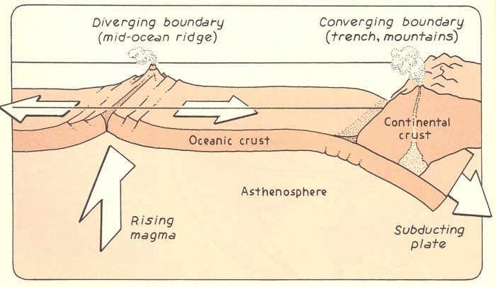 Label the diagram of a convergent-margin orogen.