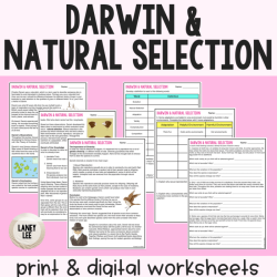 Patterns of natural selection worksheet answer key