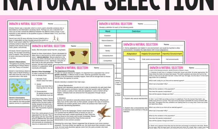 Patterns of natural selection worksheet answer key