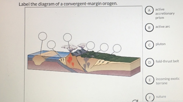 Label the diagram of a convergent-margin orogen.