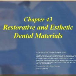 Chapter 43 restorative and esthetic dental materials