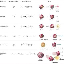 Solved likely nuclides transcribed problem text been show has nuclear